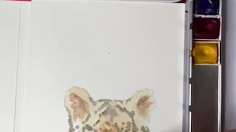 Tiny Tiger