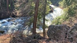 Overlooking Roaring Metolius River – Central Oregon – 4K