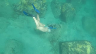 Diving for starfish in Cozumel Mexico