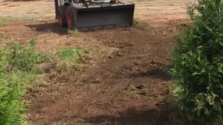 Working at a bucks county farm near Doylestown