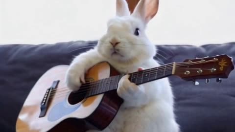 This bunny's got strings attached!