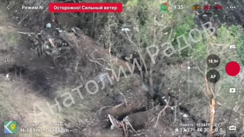 RF Troops Captured a Treeline Near Sinkovka