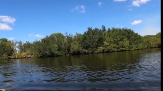 Big Snook on Campus(Canal)