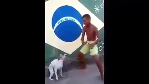 dancing dog, so funny & cute