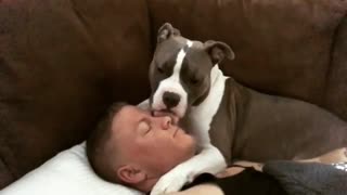 Rescued pit bull becomes lifelong companion