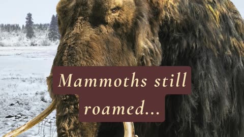 DID YOU KNOW THAT MAMMOTHS STILL ROAMED... 😳🤯