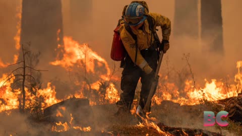 As California wildfires rage on, firefighters struggle to contain massive Park Fire