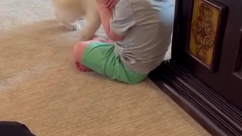 Puppy meets baby