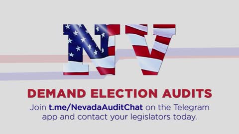 Nevada First Audit
