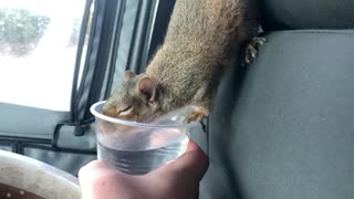 Scrat drinking his water from Taco Bell.