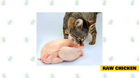 Is Chicken Meat Unhealthy For Cats?
