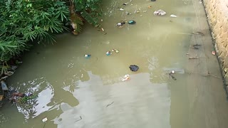 River Becomes Garbage Disposal