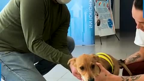 3D PROSTHETIC FOR DISABLED DOG