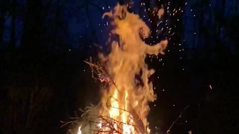 Relaxing Campfire Crackling Sound (Full HD)