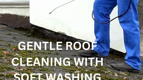 Improve Your Roof, Driveway, and House with Jiffy Pressure Washing Cleaning Services