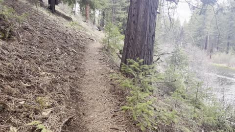 Upper West Metolius River Trail near Candle Creek Campground – Central Oregon