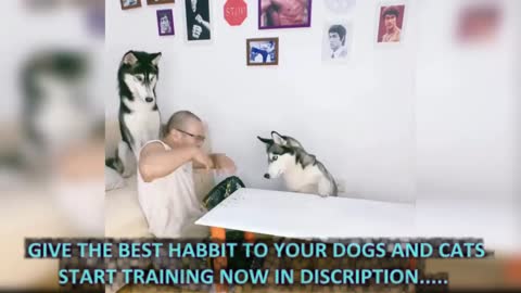 Dog with parents, funny video