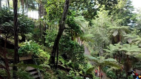 Madeira - Monte Palace - PORTUGAL