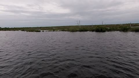 Bucket Load of Speckled Trout and Redfish