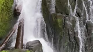 Sweet creek falls in Oregon