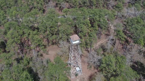 Open Pond Lookout