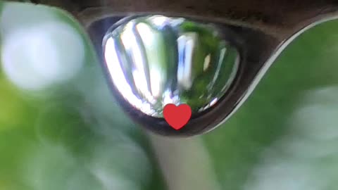 Water droping video
