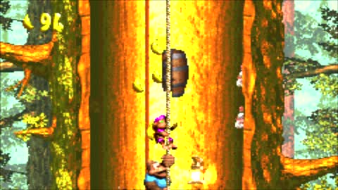 Donkey Kong Country 3: Dixie Kong's Double Trouble! Pt.6
