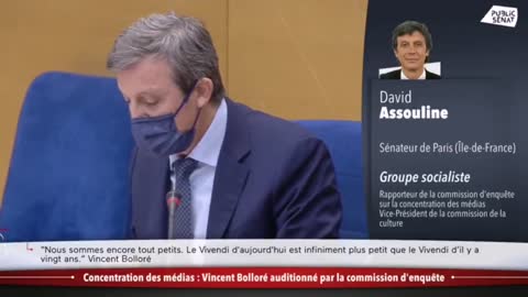 Le sénateur David assouline intérroge Vincent Bolloré sur la concentration des médias