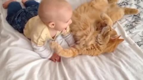 Cats Meeting Babies for the FIRST Time😊