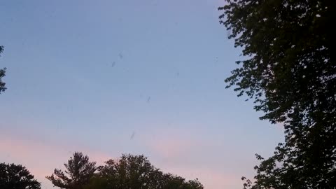 Millions of Fishflies Swarm in the Sky