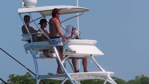 Wild Ones Come Out to the Boat Ramp on Memorial Day | Fort Pierce, Florida