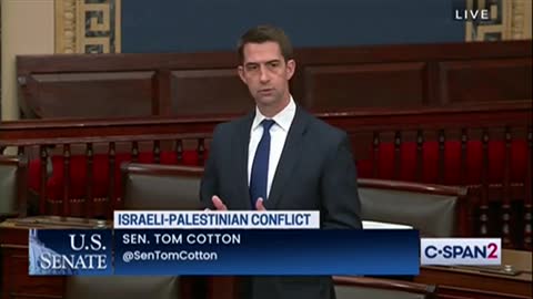 Tom Cotton Slams AP, ‘Whiny Reporters’ After Gaza Offices Bombed