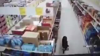 Perro callejero que se ‘roba’ una bolsa de comida en un supermercado se hace viral