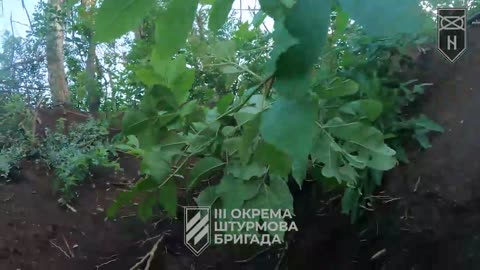 Ukrainians Entering Russian Trenches in Kharkiv Oblast During Intense Battle(Incredible Video)
