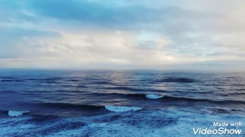 Wonderful view of the sea and dolphins