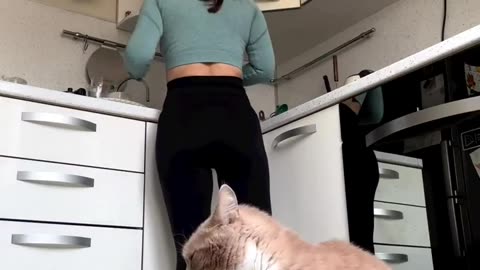 Amazing cat video 🤣cat eating food funny