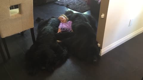 Little girl shows new meaning of "dog bed"
