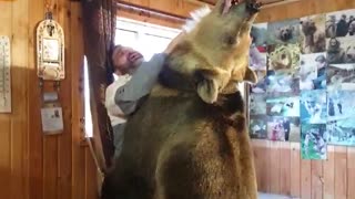 Big Ole Bear Wants a Hug