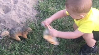 Squirrel Gratefully Takes Toddler's Pizza