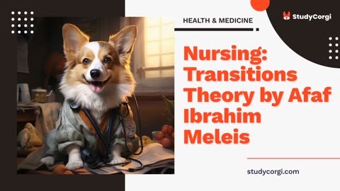 Nursing: Transitions Theory by Afaf Ibrahim Meleis - Research Paper Example