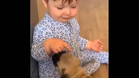 Baby Husky Grows Up With Baby Girl And They Do Everything Together | The Dodo Soulmates