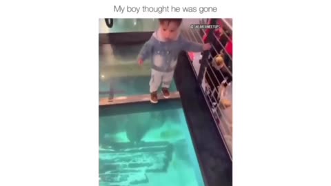 Baby's Unforgettable Aquarium Stroll: Must-See Moment!