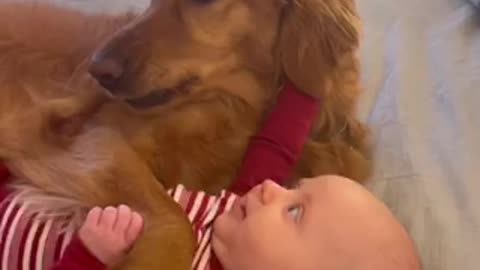When you meet true love baby and dog