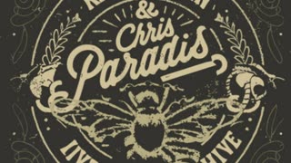 Kevin Dorin & Chris Paradis - A needle in the haystack
