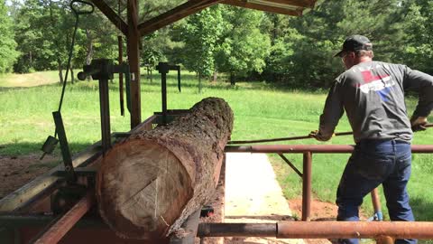 Sawmill Broken Elm Tree Into Boards