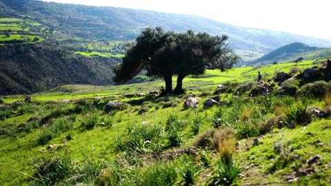 Beautiful green landscape on Cyprus