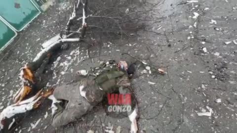 ⚡️VIDEO 18+⚡️Niederlage eines Nazibataillons im Donbass in Wolnovakha⚡️