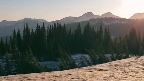 Mt. RainierNational Park