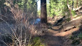 Leaving Waterfall Area – Metolius River – Central Oregon