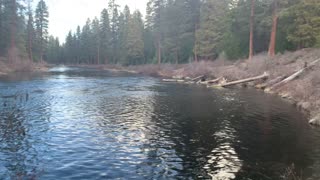 Hiking Beside the Quiet, Gentle Stillness of Metolius River – Central Oregon – 4K